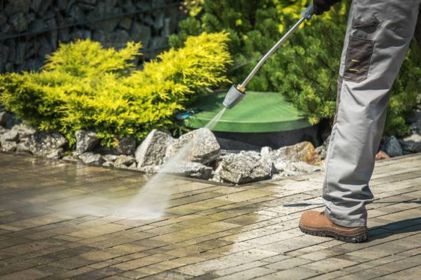 Best Winterizing Services  in Pelican Marsh, FL