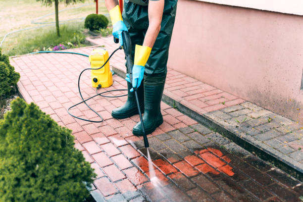 Best Driveway Pressure Washing  in Pelican Marsh, FL